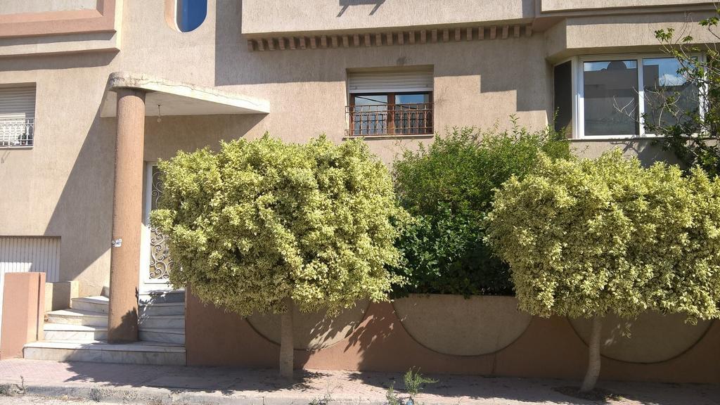 Apartamento Dar Aloulou Túnez Exterior foto